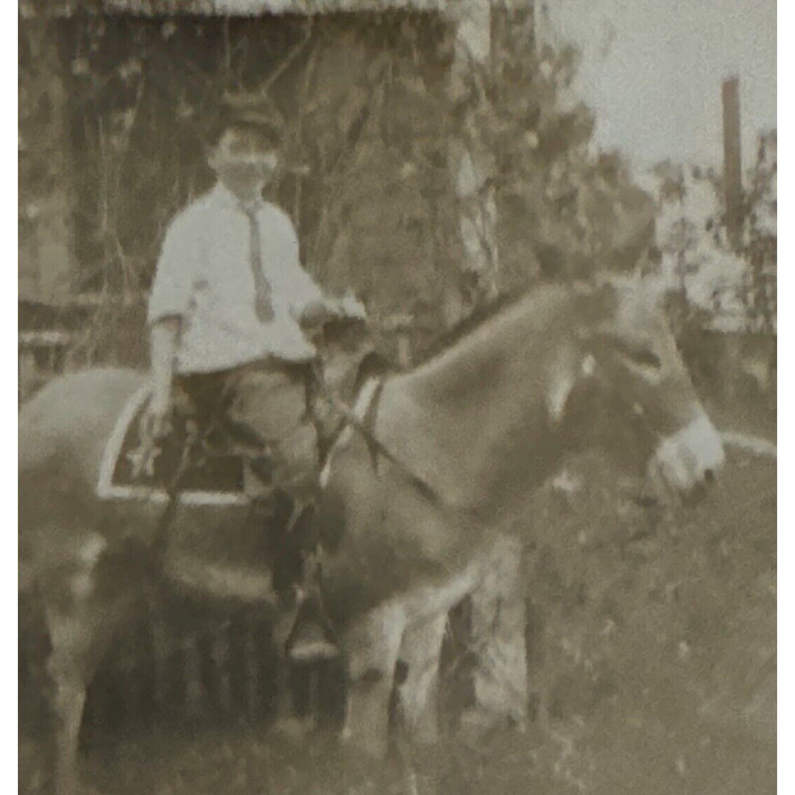 Antique RPPC Postcard Ephemera Early 1900s Shoppe Black White Young Boy Donkey