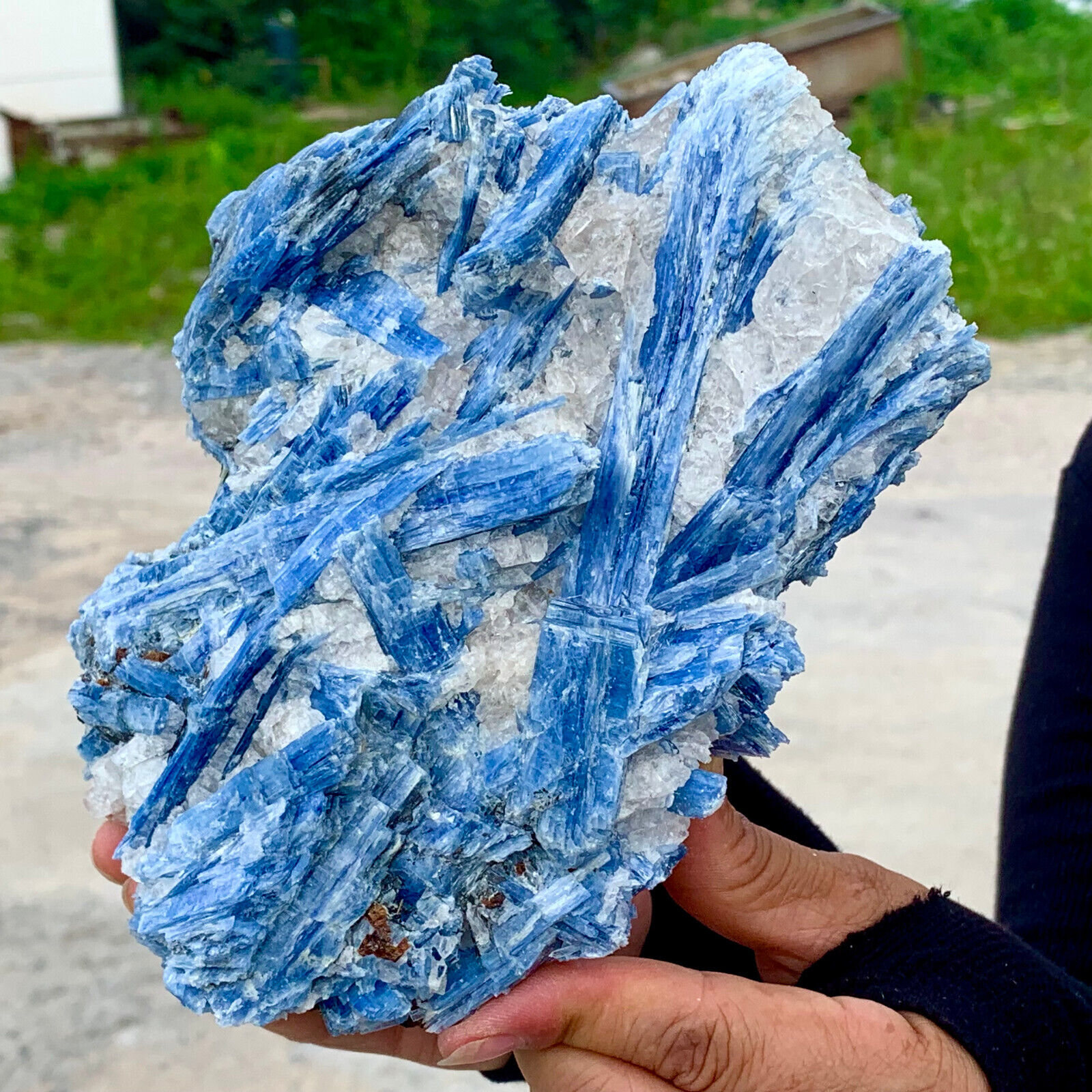 4.84LB Rare Natural beautiful Blue KYANITE with Quartz Crystal Specimen Rough