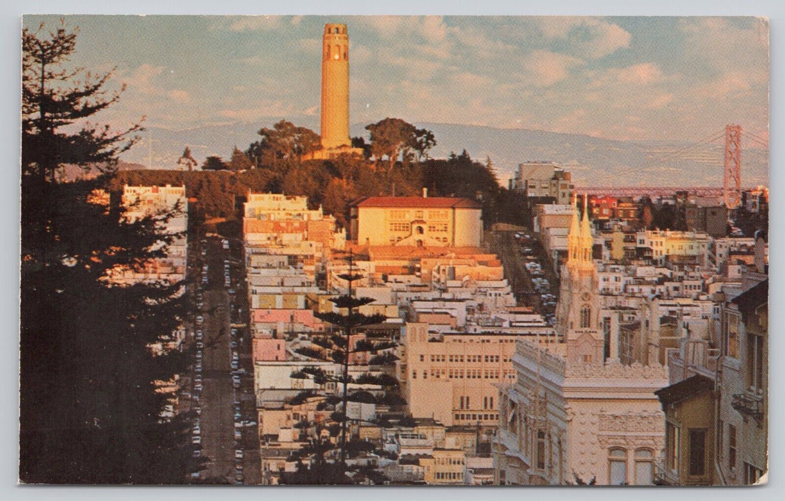 San Francisco California, Telegraph Hill & Coit Tower, Vintage Postcard