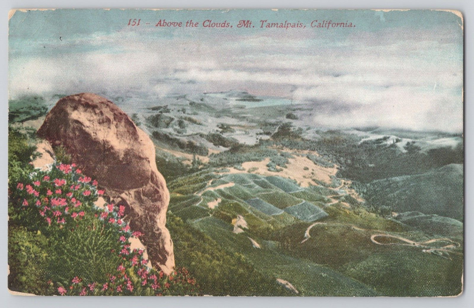 Postcard Above the Clouds, Mi. Tamalpais, California.