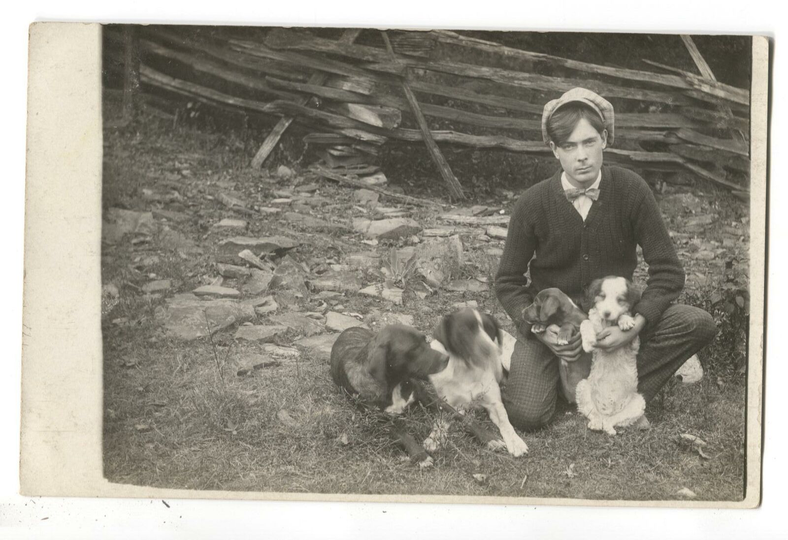 RPPC Postcard Man Posing With Puppies Dogs 1909
