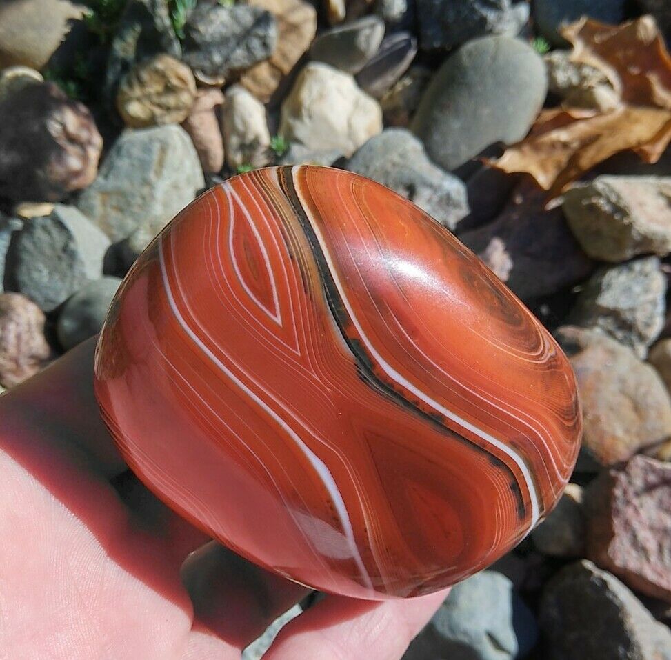 Madagascar Display Agate 14.9oz Outstanding Red & White, Onyx Show Agate 