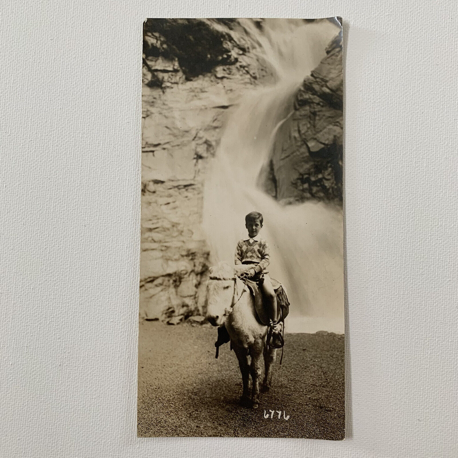 Antique Vintage Sepia Photo Boy Horse Miniature Pony ID Jaul Leschan Colorado CO