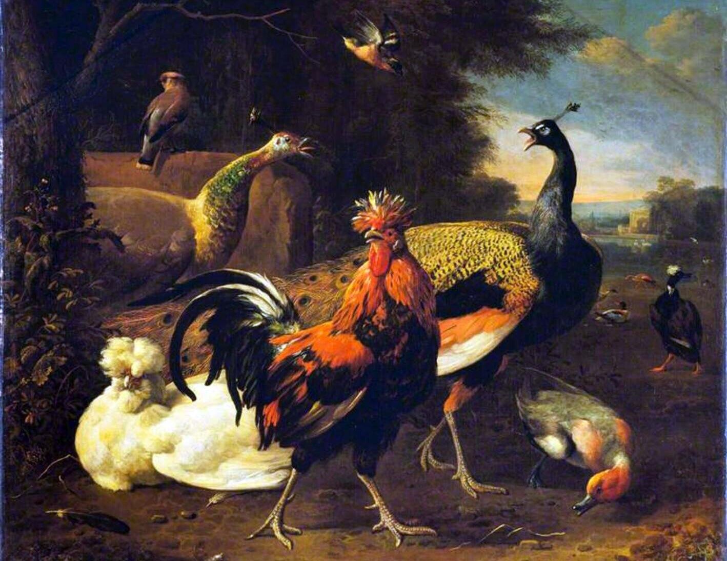 Art Oil painting Melchior-De-Hondecoeter-A-Cockerel-with-Other-Birds art