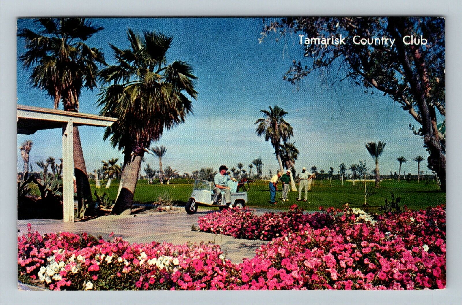 Palm Springs CA-California, Tamarisk Country Golf Club, c1963 Vintage Postcard