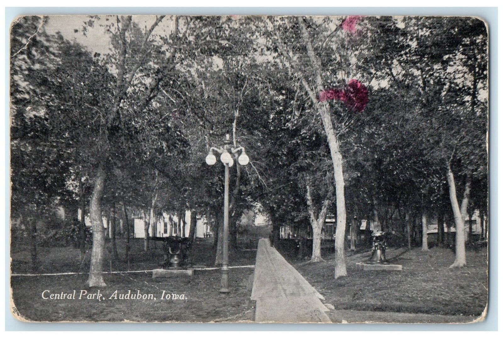 c1910's Central Park Pathways Lights Groves Views Audubon Iowa Antique Postcard