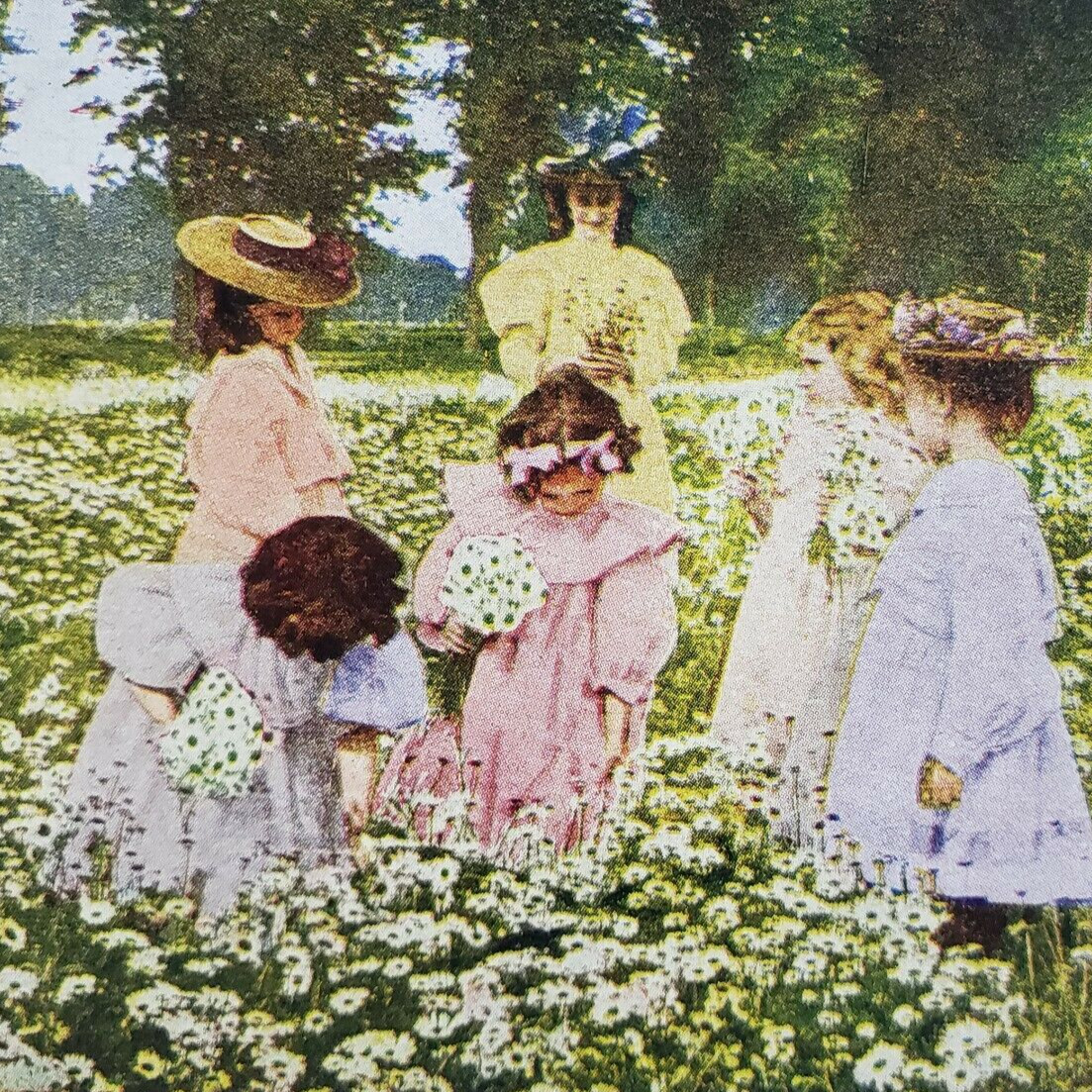 Little Girls Plucking Daisies Children With Flowers Picking Stereoview K183