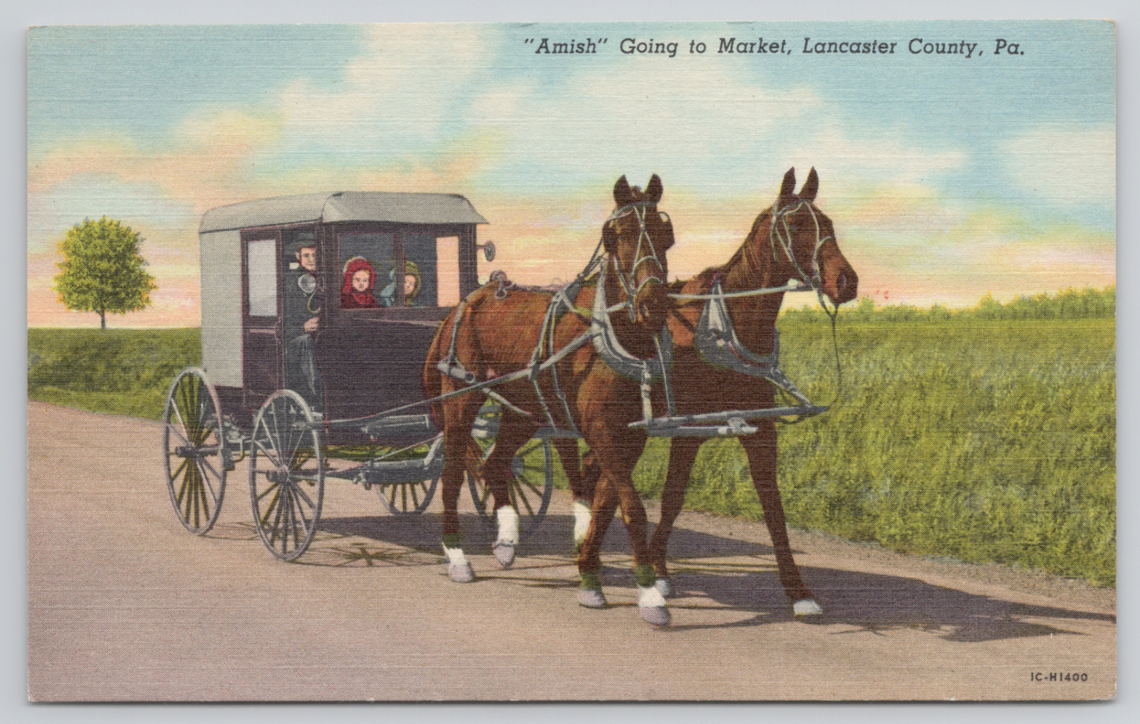 Lancaster County Pennsylvania Amish Going To Market Horse Linen Vintage Postcard