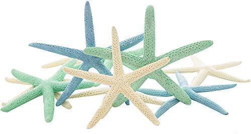 Starfish Decor 10 Blue Green & White Finger Star Fish 6-8in Starfish Wall Décor