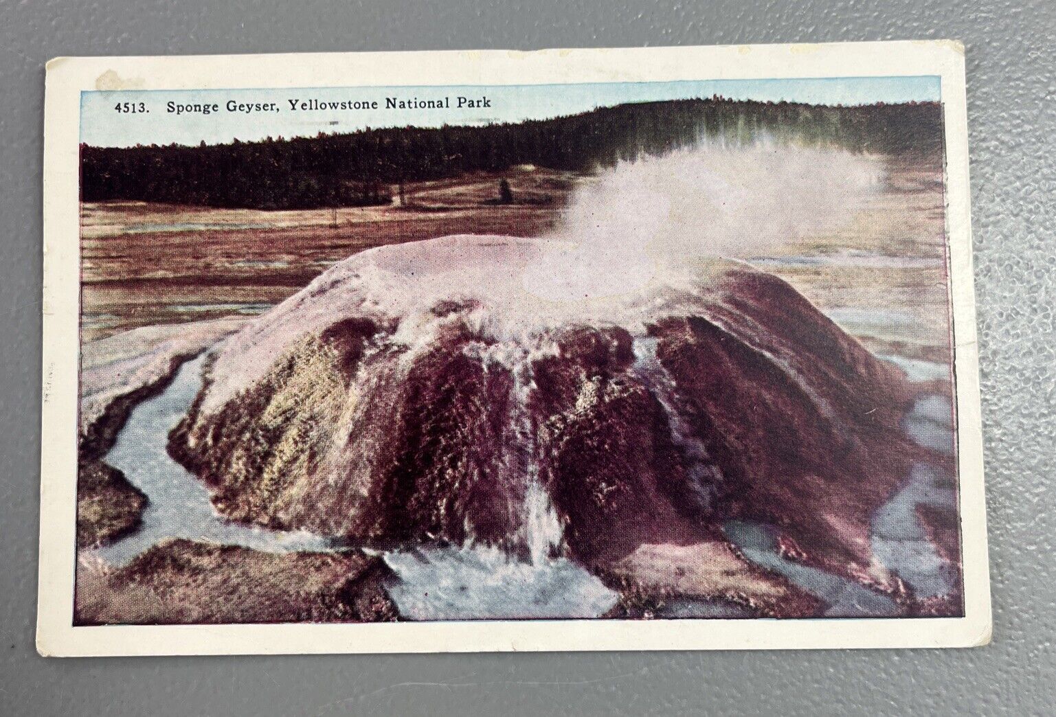 Sponge Geyser Yellowstone National Park Linen Postcard 1950