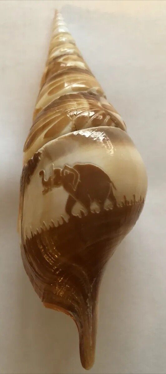 Vintage Hand Painted whelk spiral conch shell elephant tree w/design 5.5” Nice