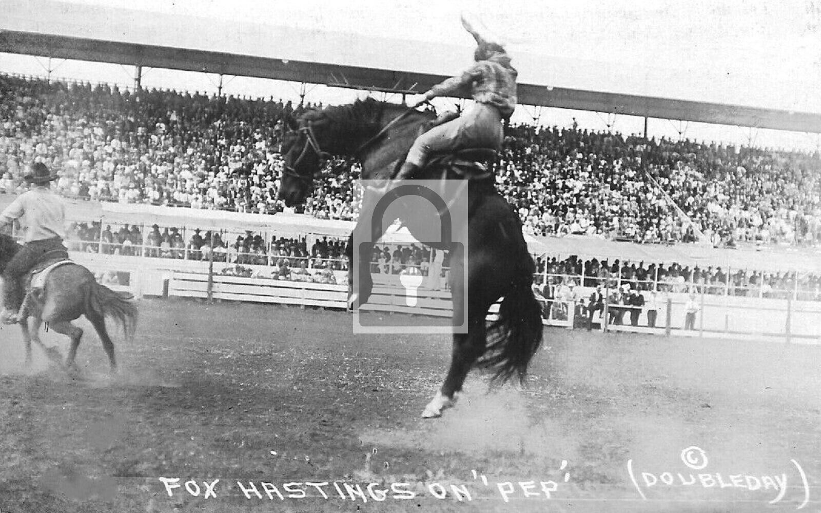 Cowgirl Fox Hastings Riding Horse Bronco Rodeo Reprint Postcard