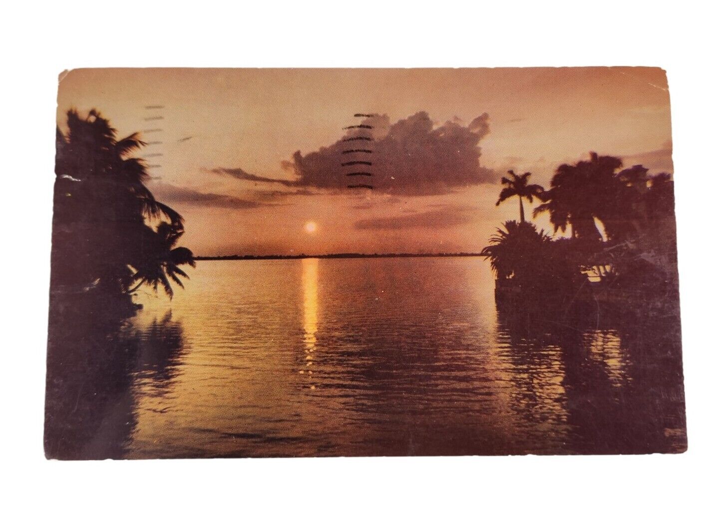 Postcard SUNSET Miami Florida FL Chrome 1950s