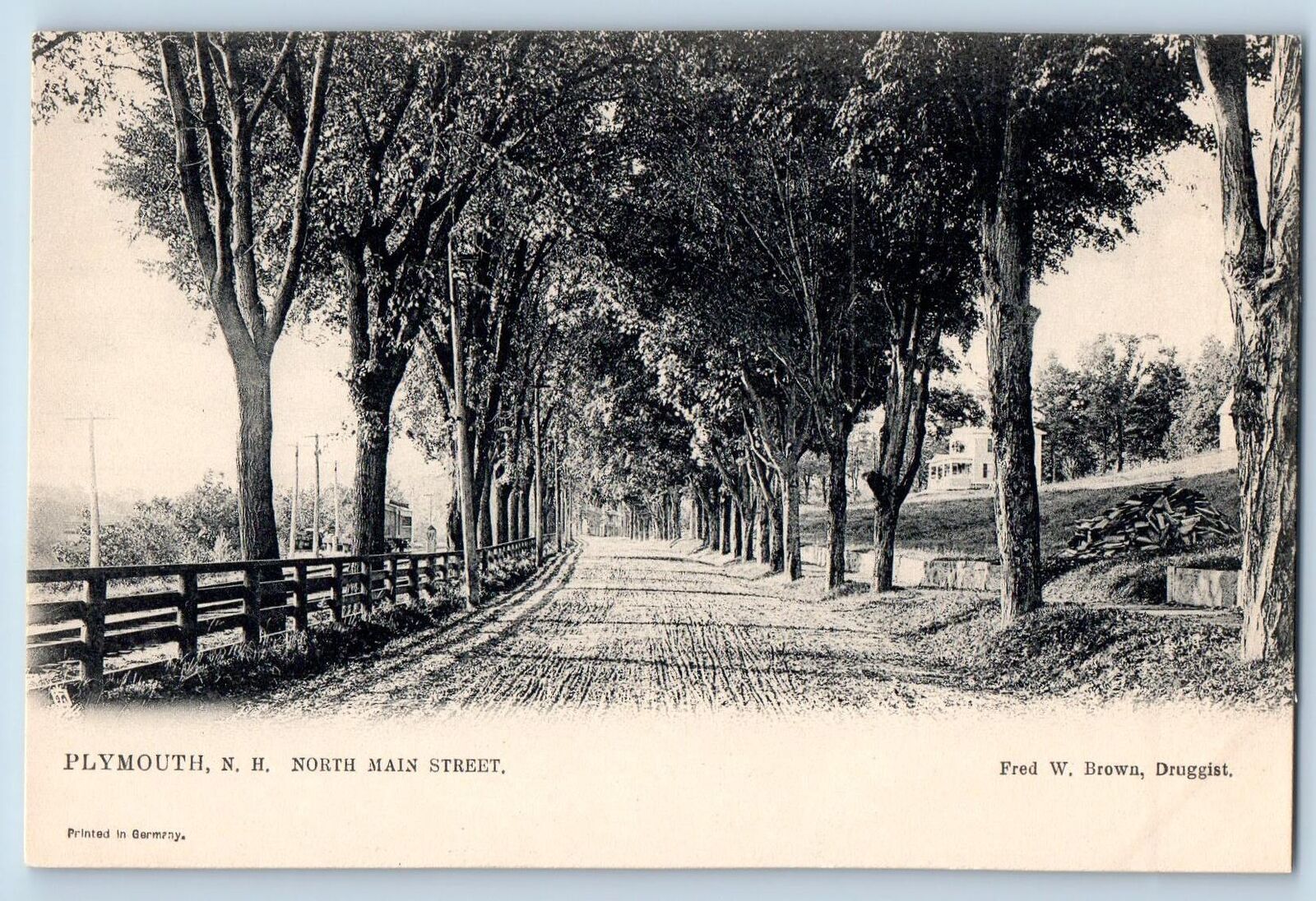 c1905's Plymouth New Hampshire North Main Street Dirt Road Lined Trees Postcard