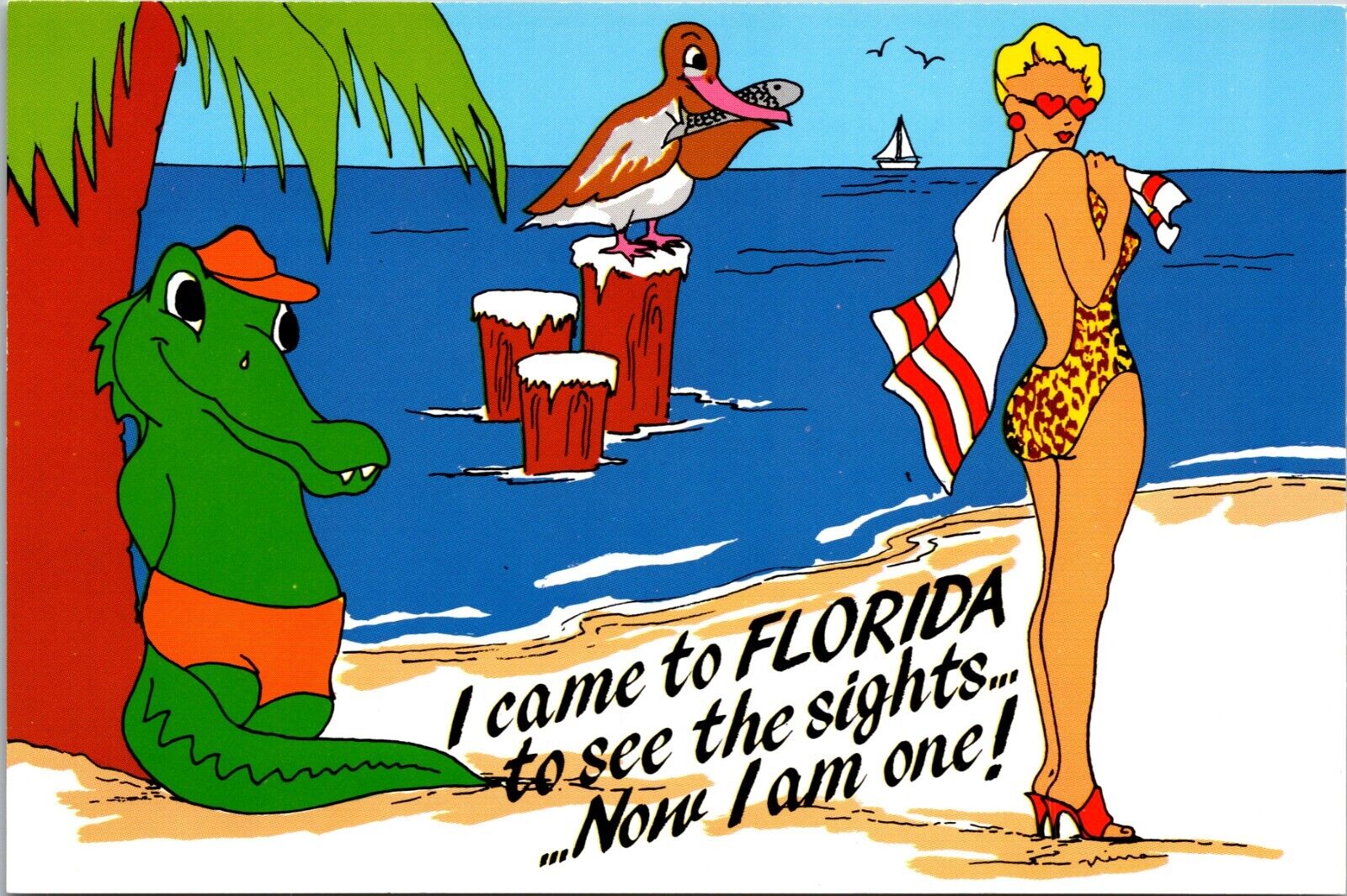I Came To Florida To See Sights Now I Am One Funny Continental 6x4 Postcard L63