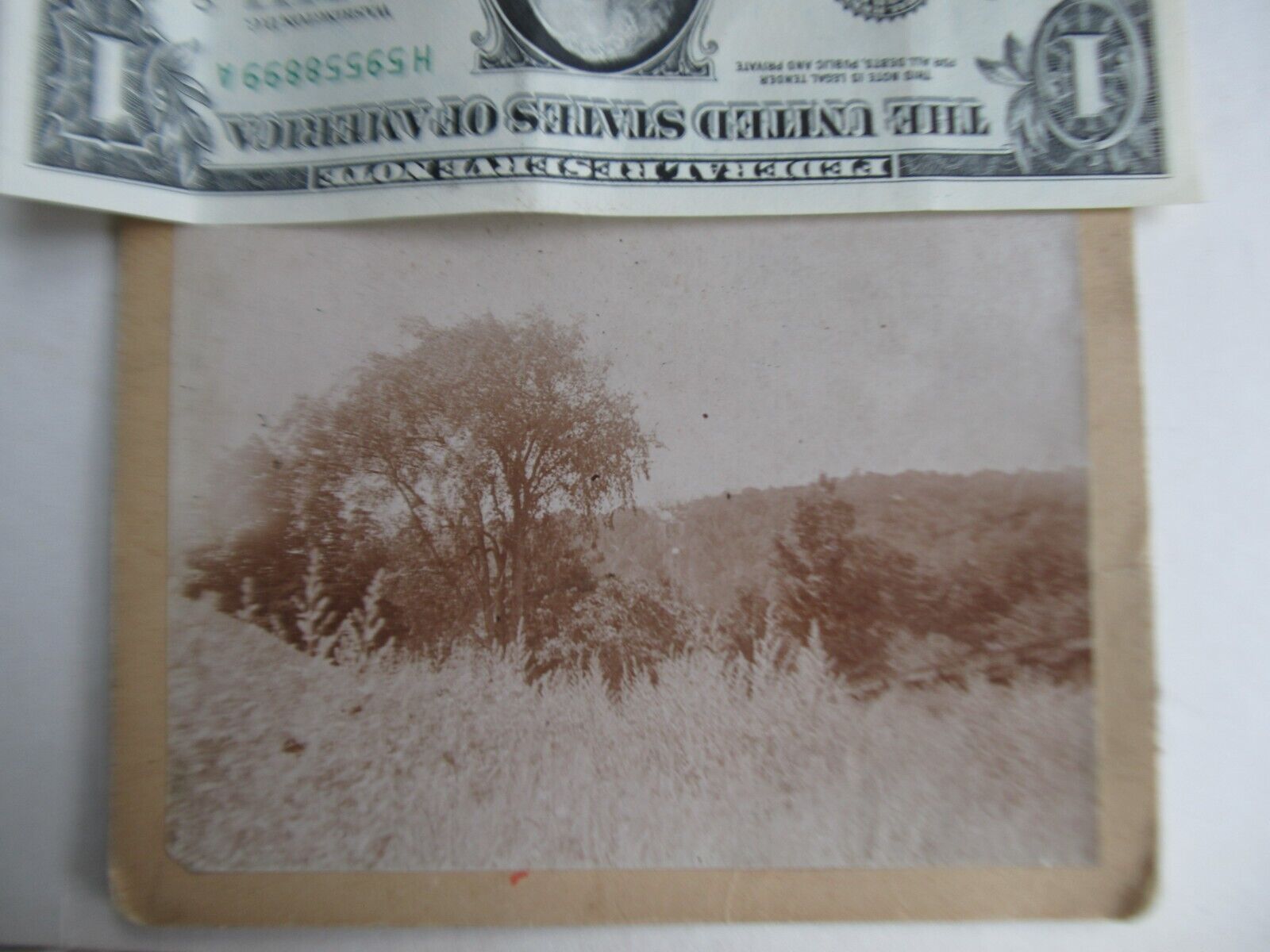 Rare Victorian Antique Photo, Identified as MOUNT ROYAL, Montreal, Quebec, 1894