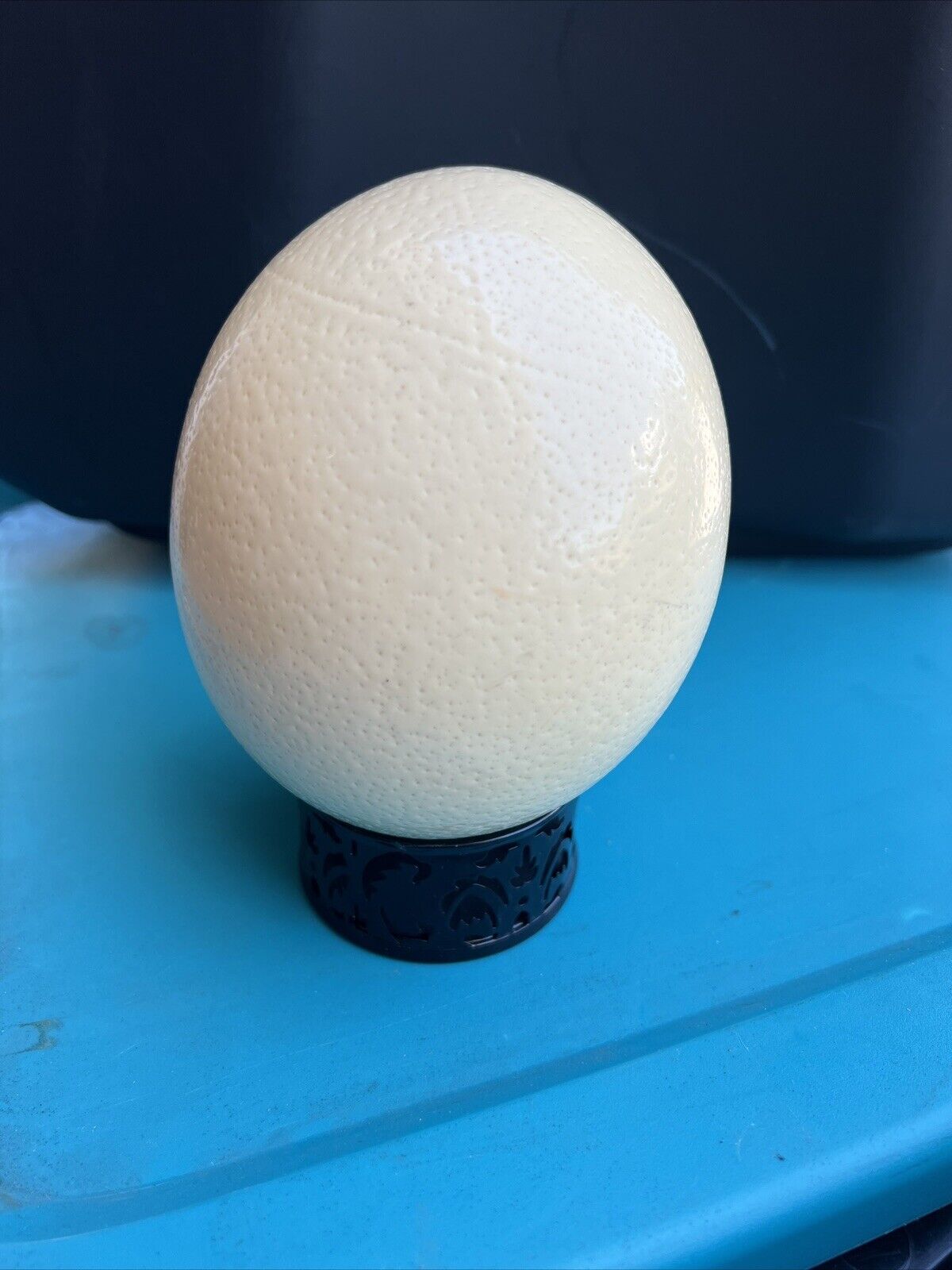 Vintage Large Hollow Ostrich Egg Shell