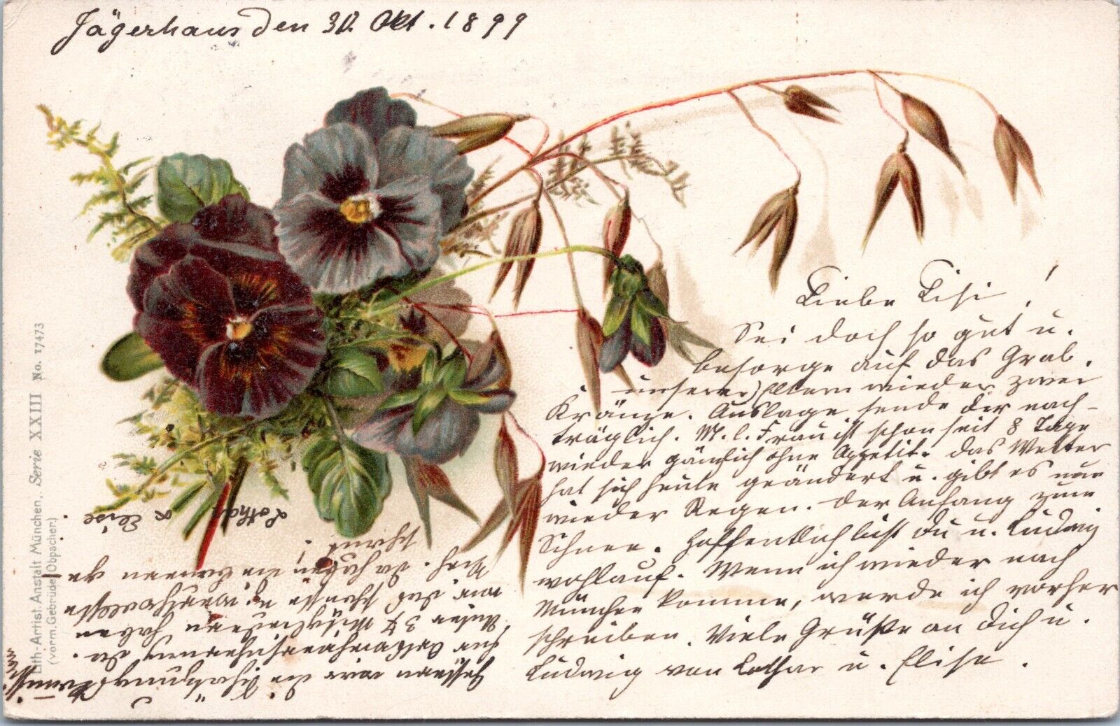 1899 Floral Greeting Postcard - Munich Germany - Flower c1890s