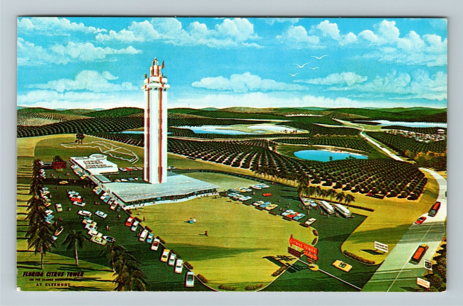 Clermont FL-Florida, Citrus Observation Tower, Vintage Postcard