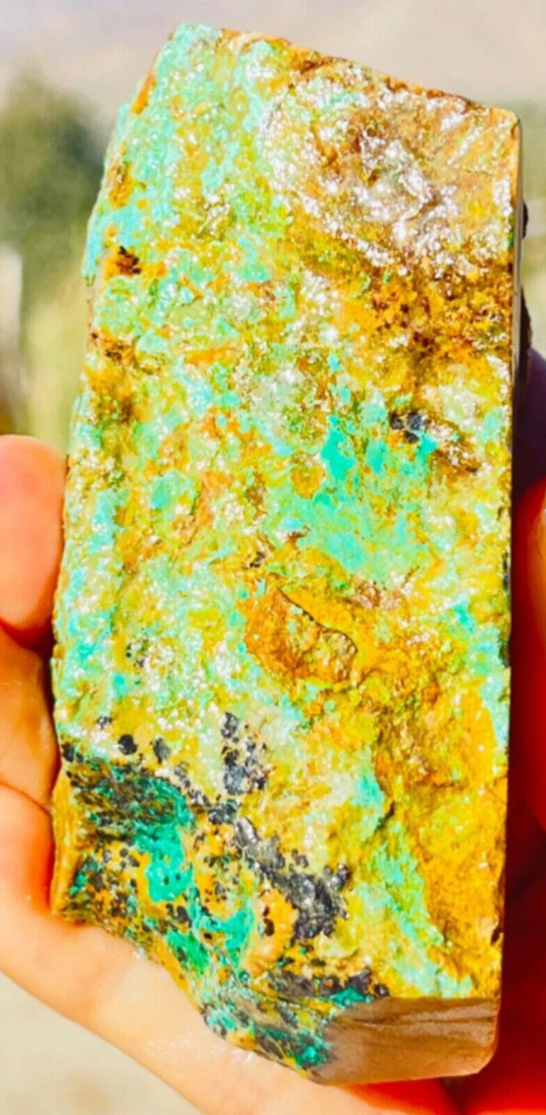 Royston Turquoise with gem silica on Matrix from Tonopah Nevada 4oz