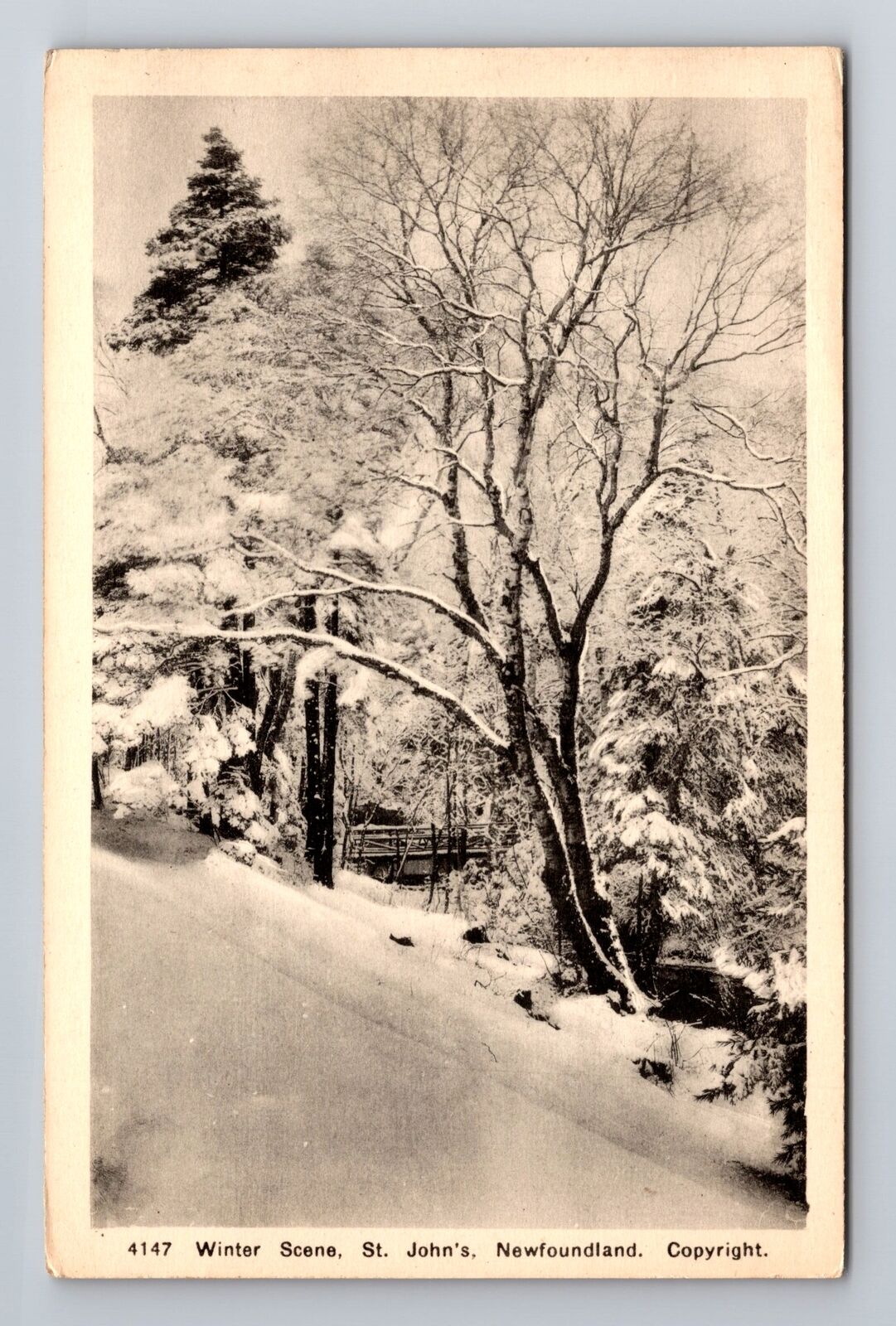 St. John's Newfoundland, Winter Snow Scene, Antique Vintage Souvenir Postcard