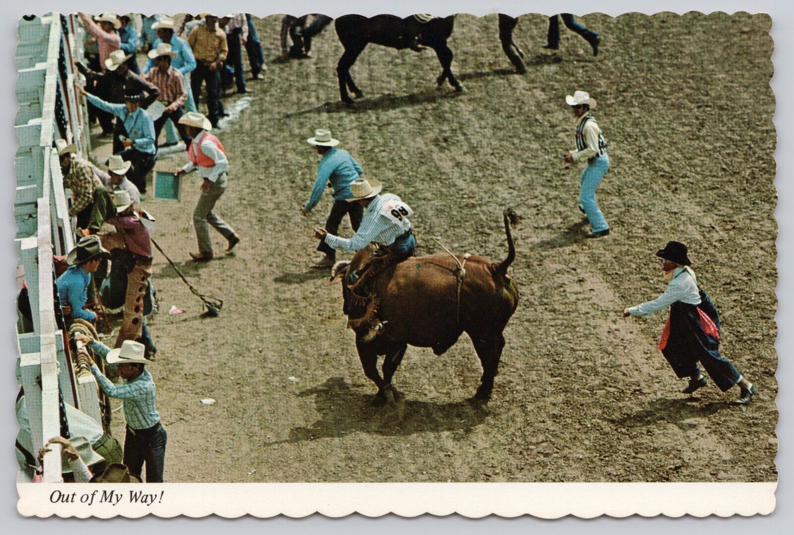Cheyenne Wyoming, Brahma Bull Rider, Western Rodeo, Cowboys, Vintage Postcard