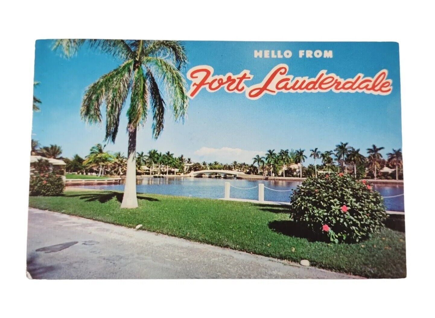 Postcard Florida FL Greetings From FORT LAUDERDALE Vintage Chrome Palm Tree