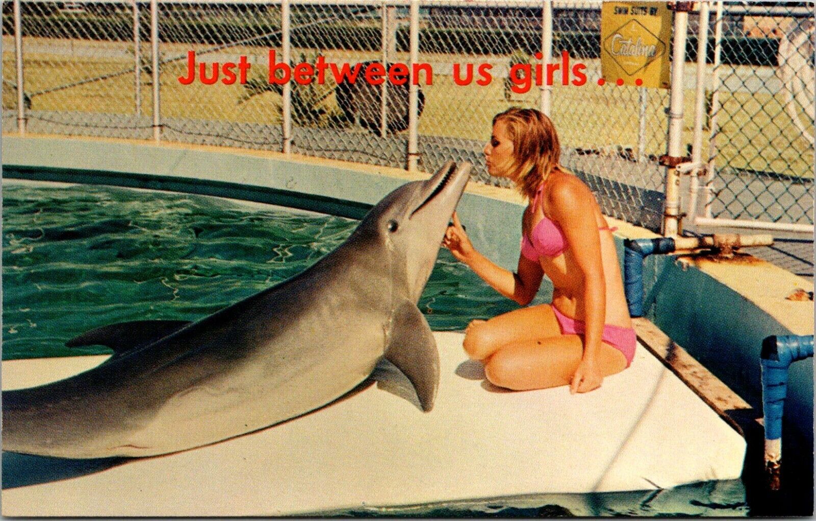 Performing Porpoise Just Between us Girls Seaquarium Miami Florida FL Postcard