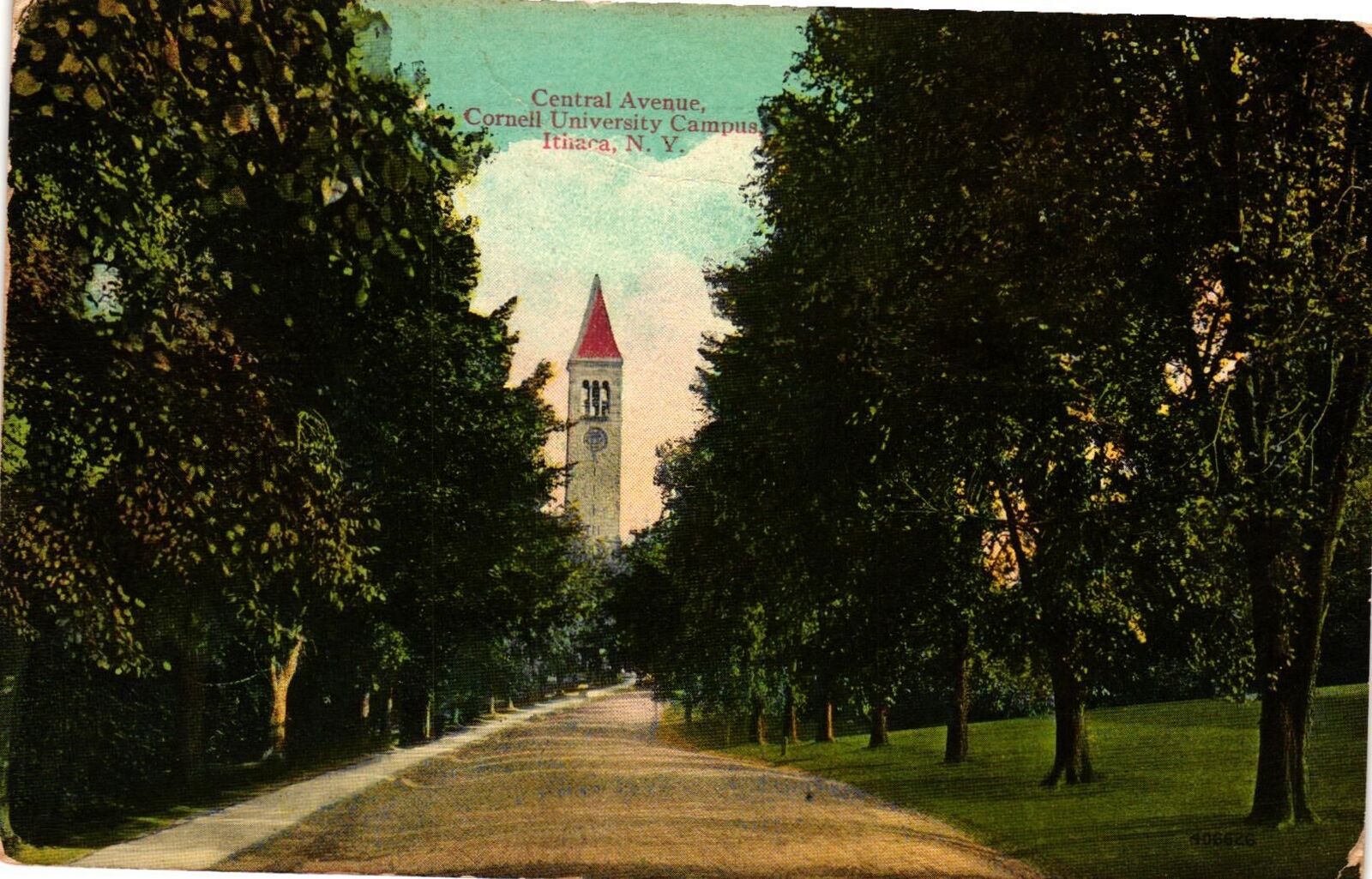 Vintage Postcard- Central Avenue, Cornell University Campus, Ithaca, Early 1900s