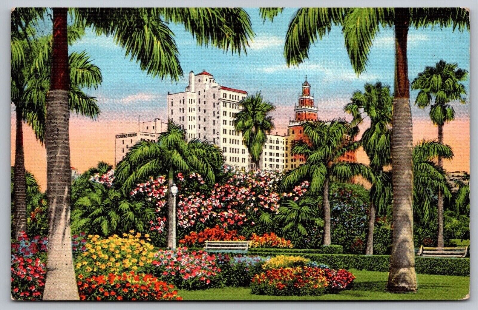 Hotel Row Bayfront Park Miami Florida Tropical Palms Flowers Linen VNG Postcard