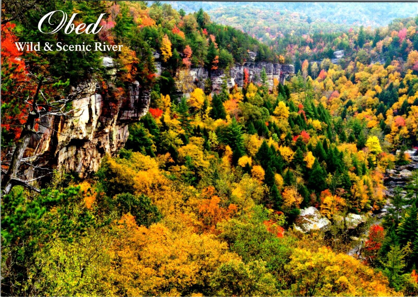 Obed Wild & Scenic River Fall Season photo postcard