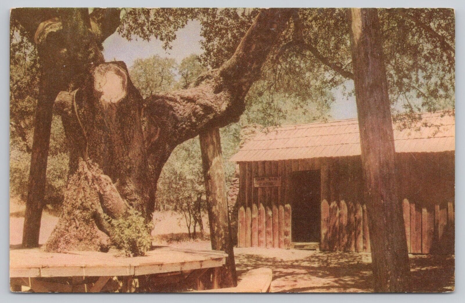 Sonora California, Mark Twain's Cabin, Vintage Postcard
