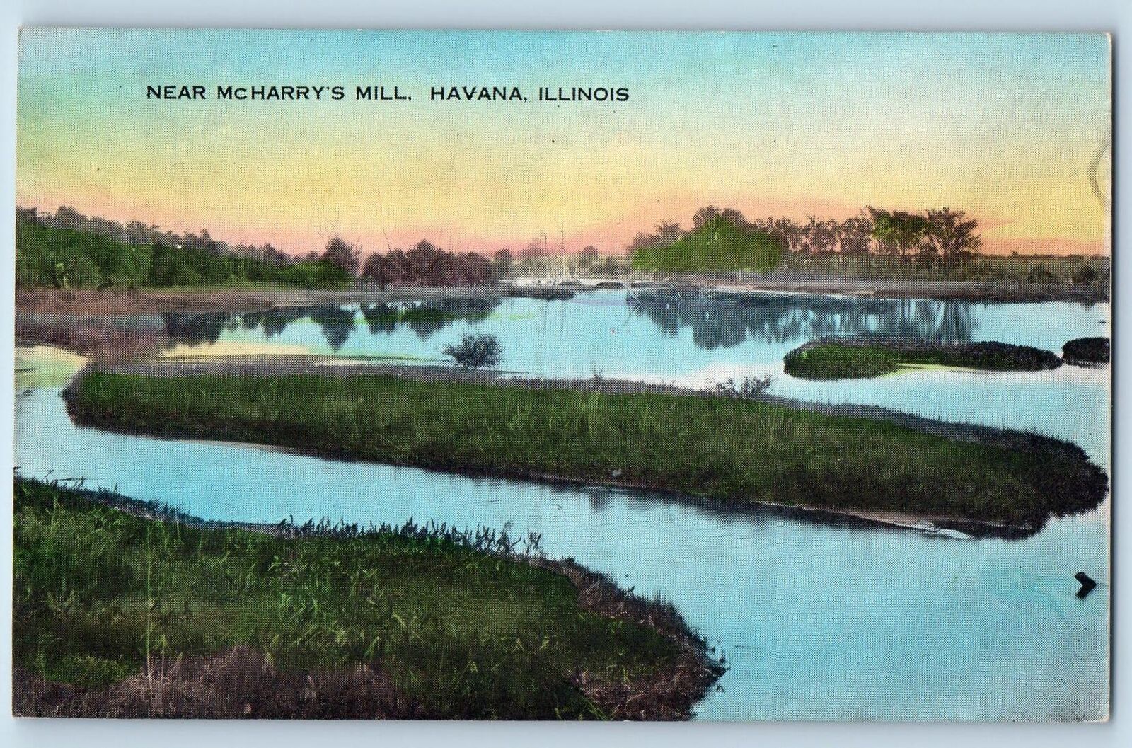 Havana Illinois IL Postcard Near McHarry's Mill Trees Scenic View c1920s Antique