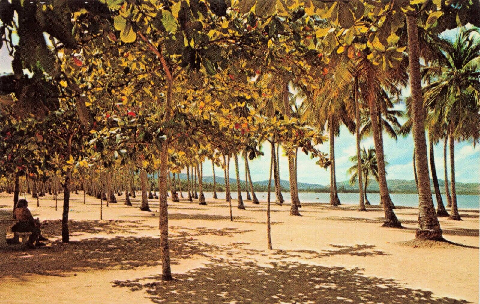 Postcard Luquillo Beach Tropical Paradise Luquillo, Puerto Rico PR Vintage