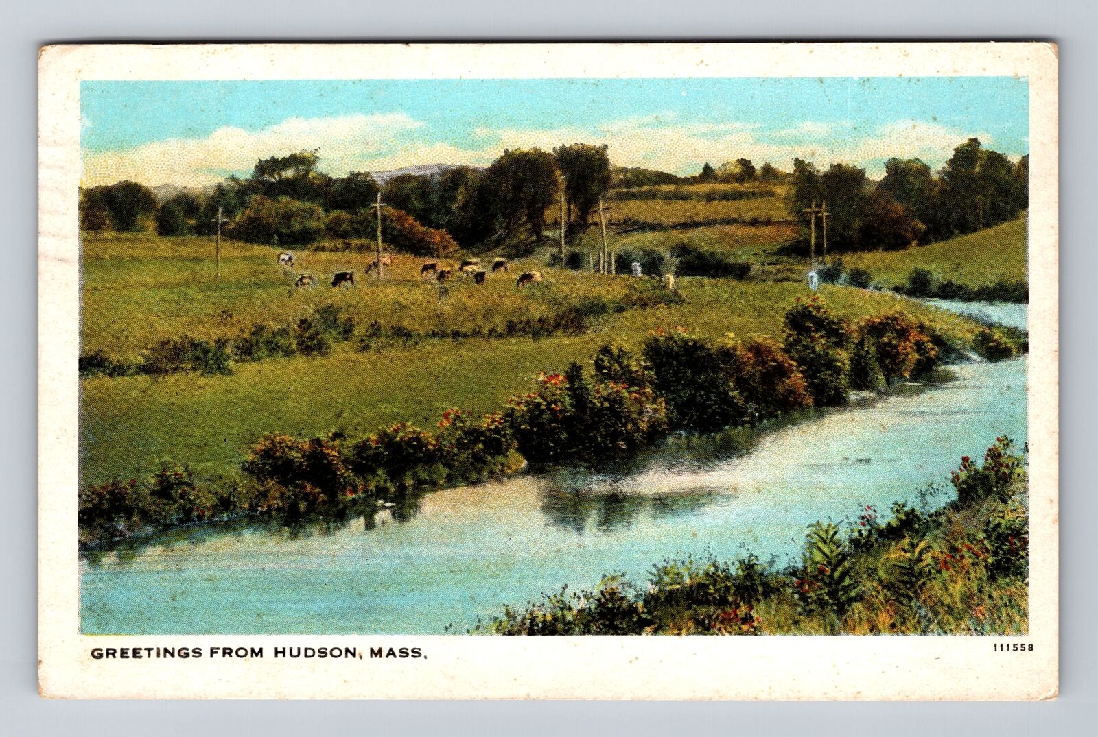 Hudson MA-Massachusetts, Scenic Greetings, Herd of Cows, Vintage c1927 Postcard