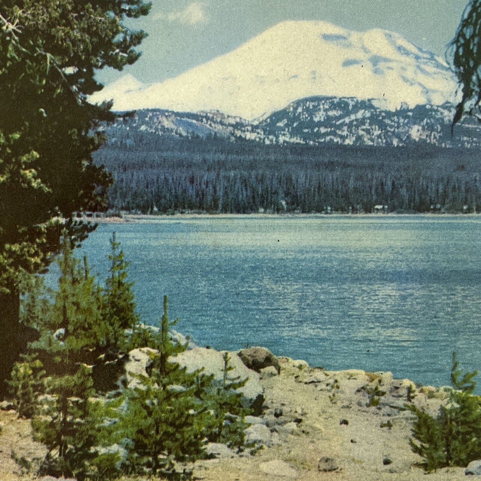 1940 Vintage Postcard Washington Union Oil Company Nostalgic Tourist Novelty ⭐️