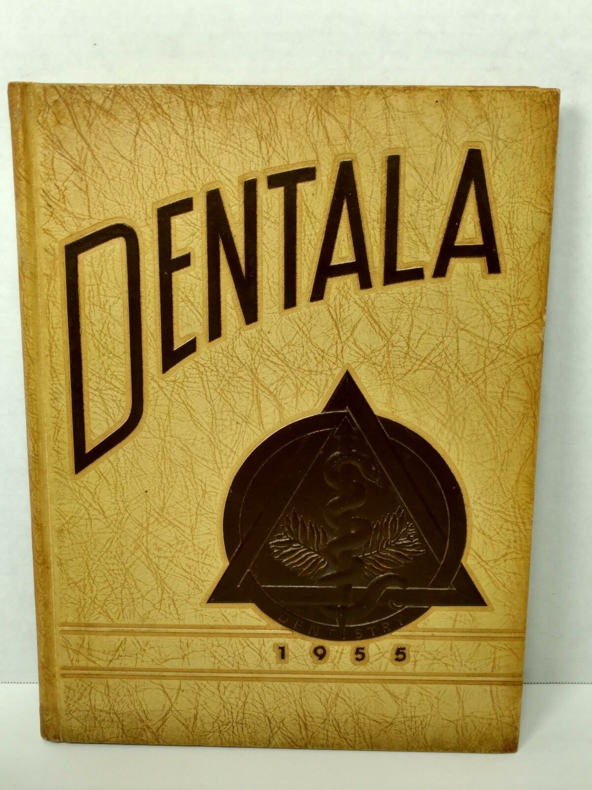 Vintage 1955 Dentala Yearbook For University Of Alabama School Of Dentistry 