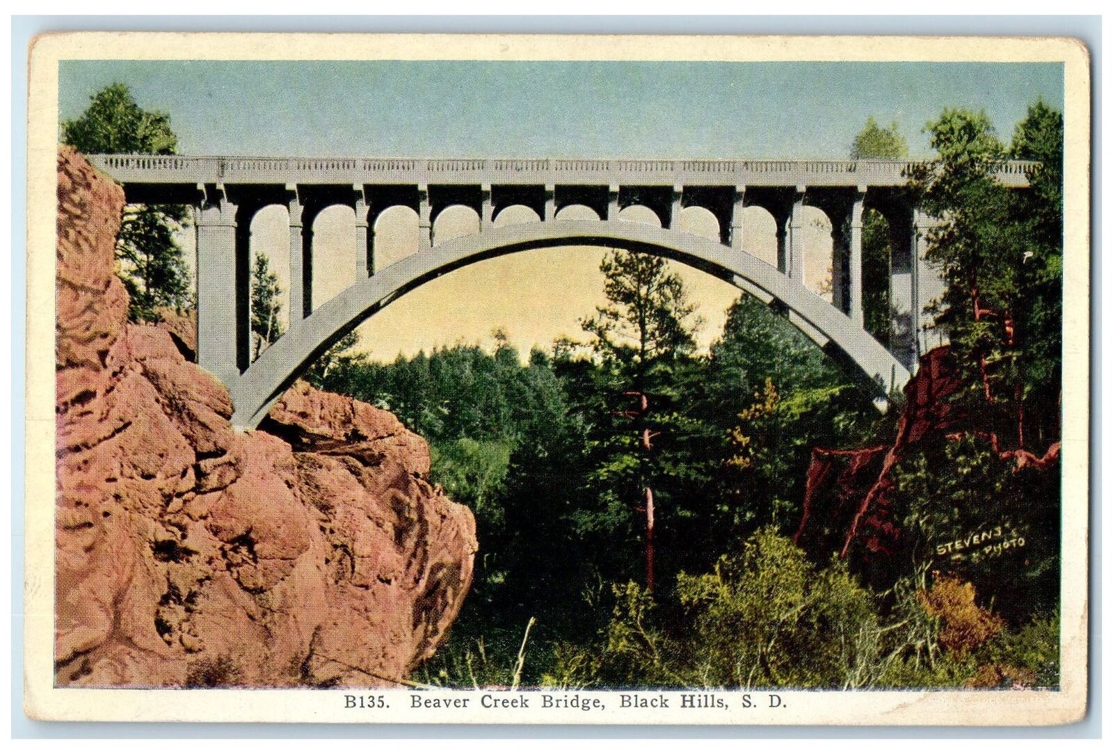 c1920\'s Beaver Creek Bridge Road Grove Black Hills South Dakota Vintage Postcard
