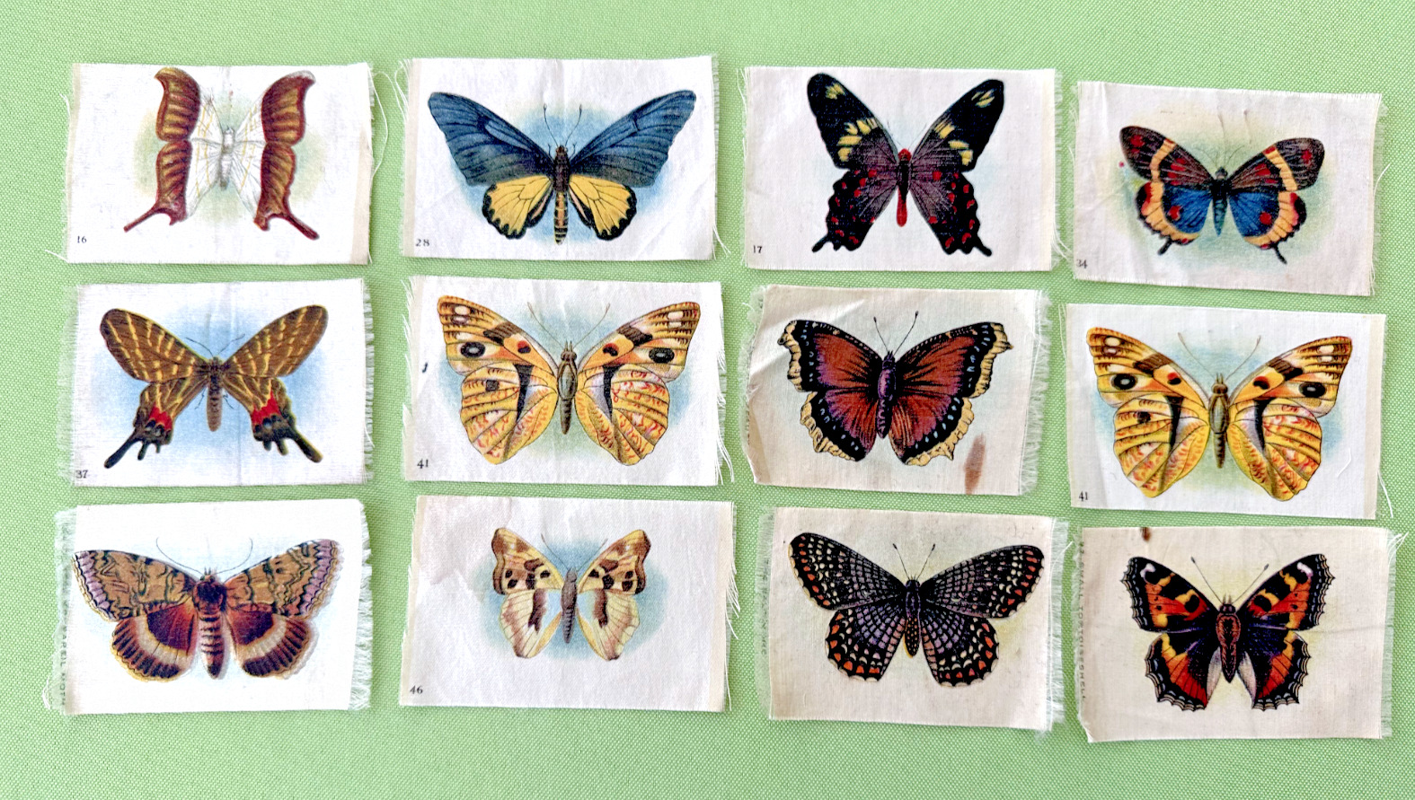 12 ANTIQUE TOBACCO CIGARETTE SILKS - BUTTERFLY AND MOTH SERIES B647