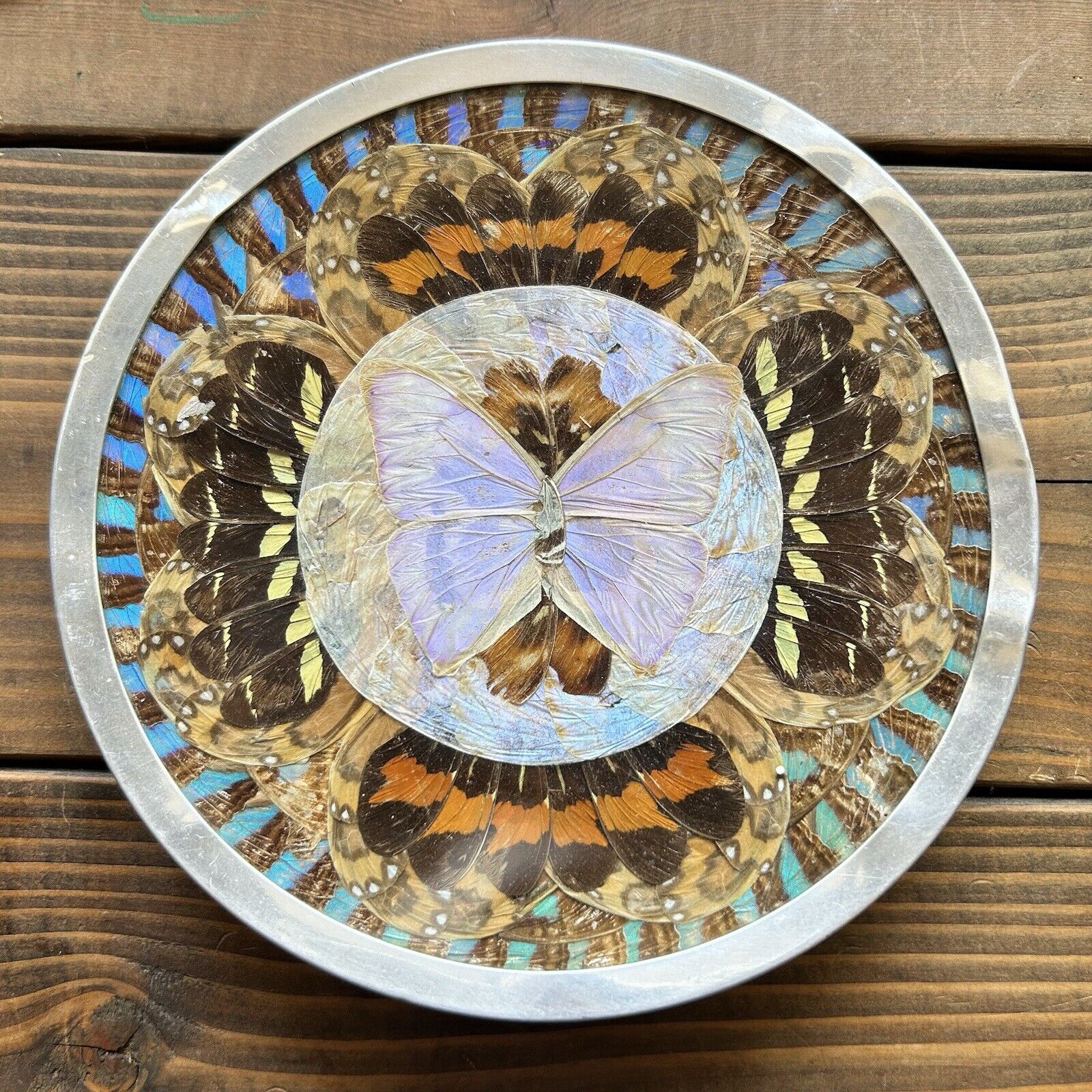 Vintage Art Deco Morpho Butterfly Wing Plate Art Wall Hanging Decor