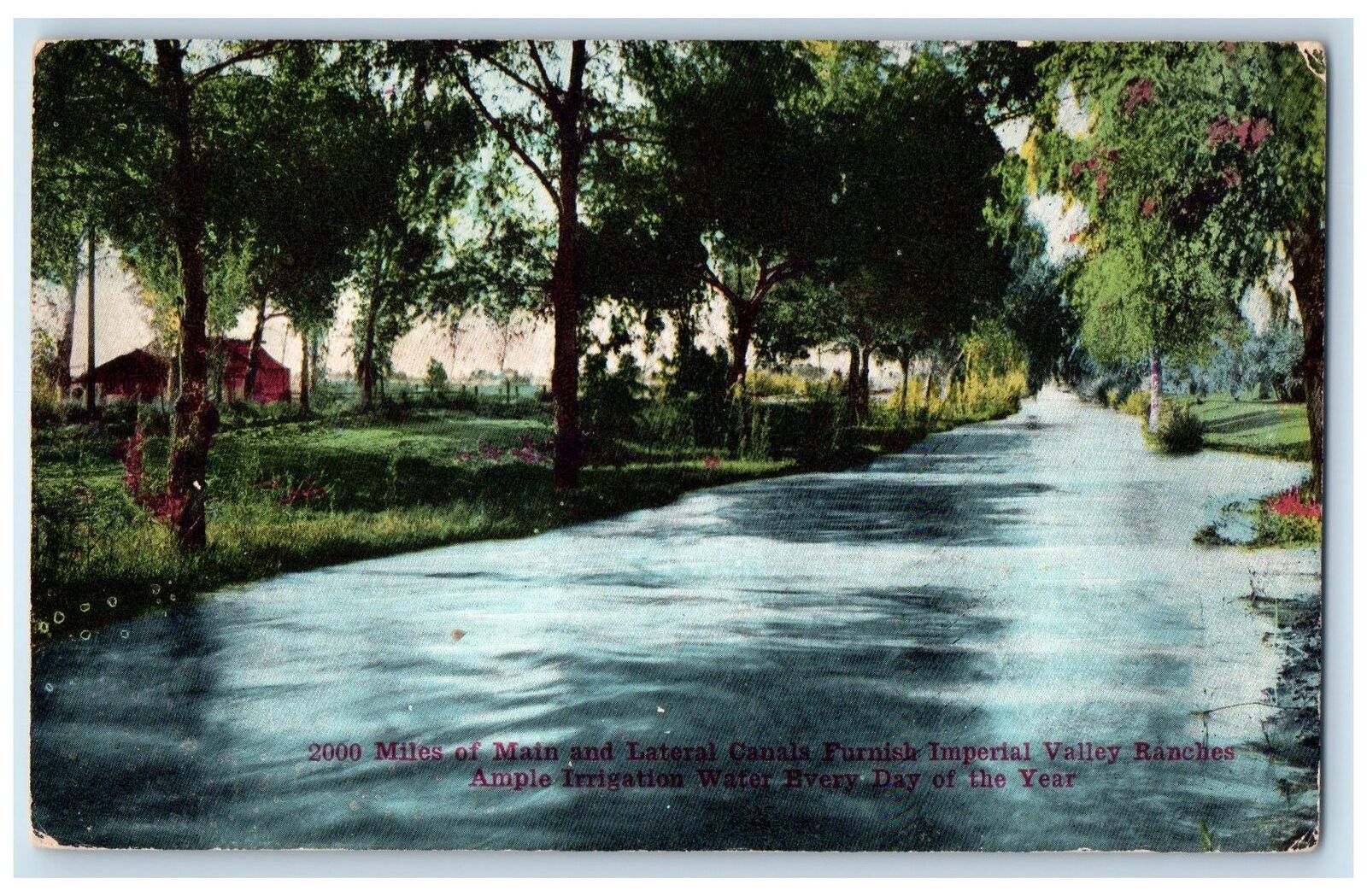 c1910s Miles Of Main View And Lateral Canals Furnish Imperial Valley CA Postcard