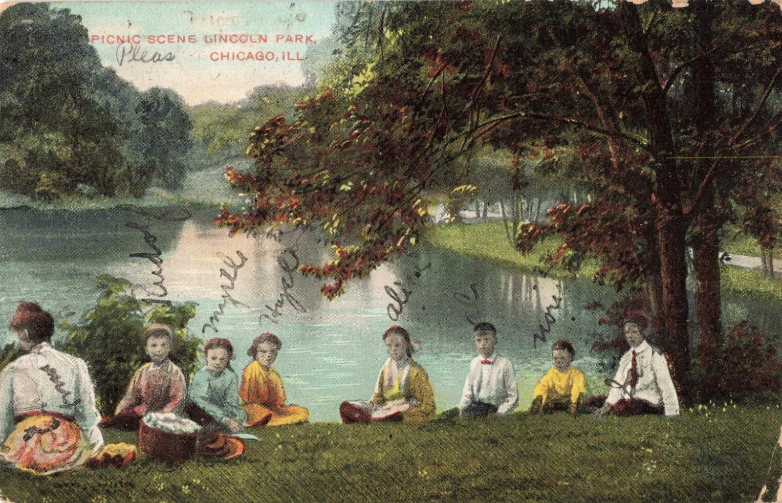 Chicago IL Illinois, Family Picnic Scene, Lincoln Park, Vintage Postcard