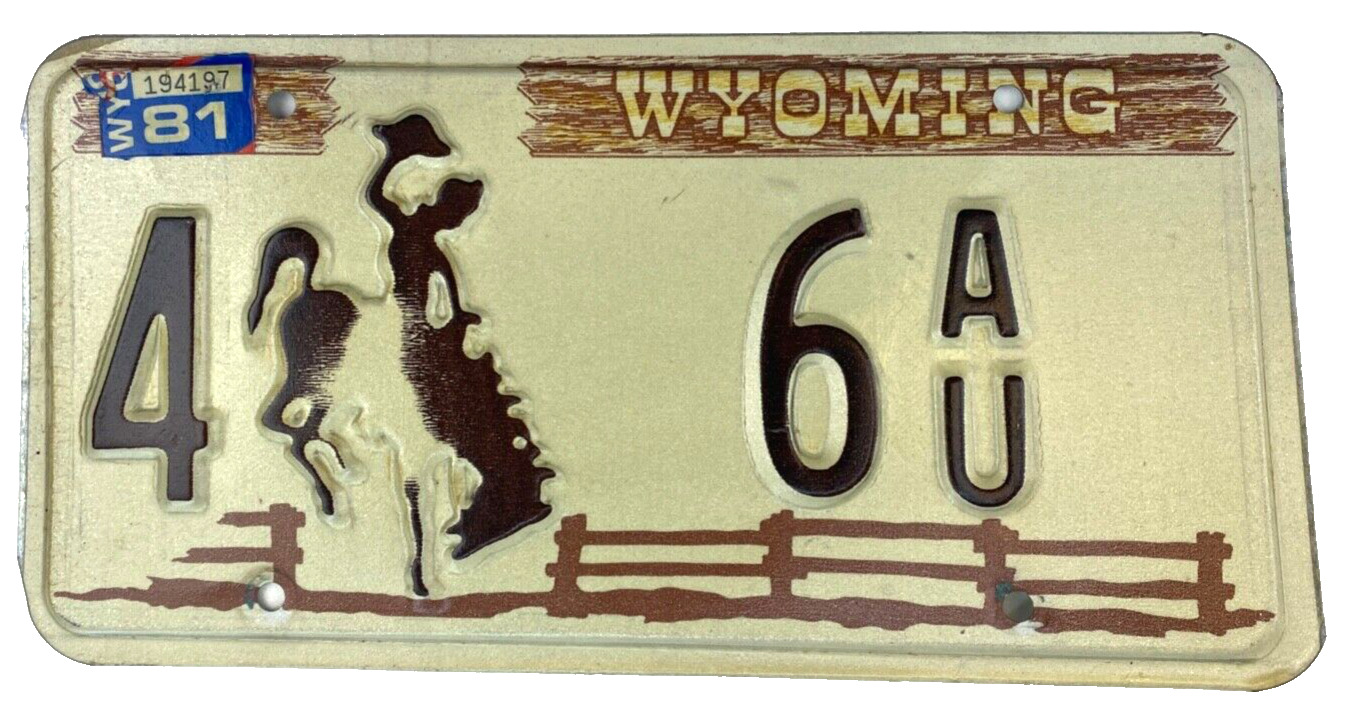 Wyoming 1981 Auto License Plate Vintage Sweetwater Co Man Cave Decor Collector