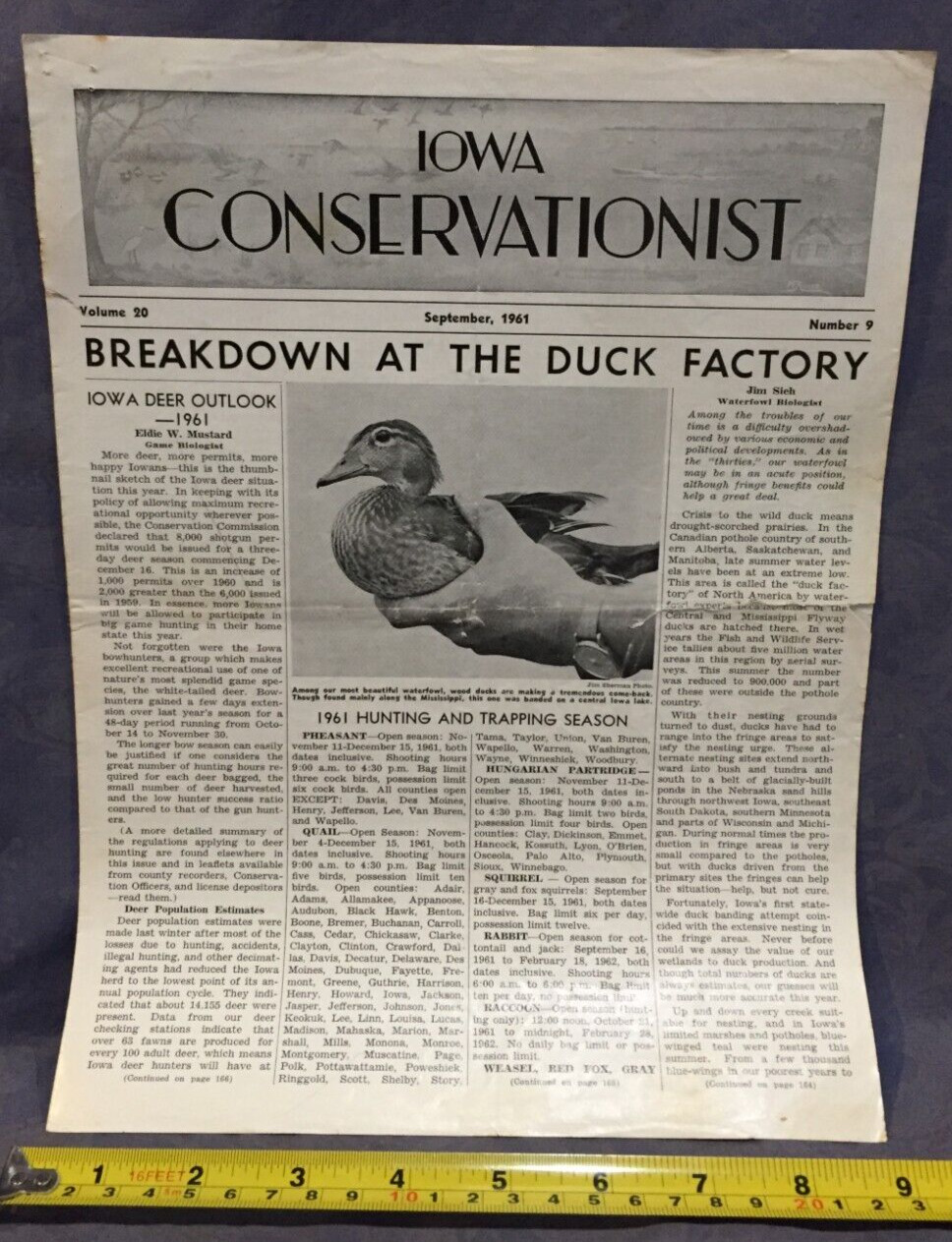 Iowa Conservationist September 1961 Breakdown at the duck factory