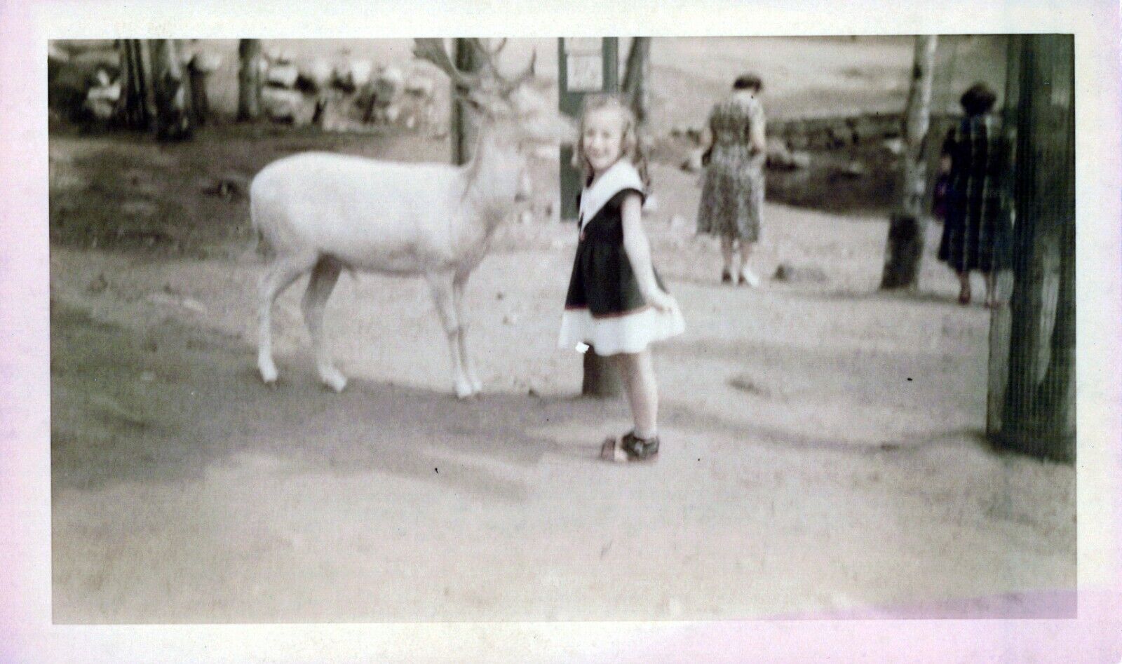 Vintage polaroid of a young girl feeding a deer by hand