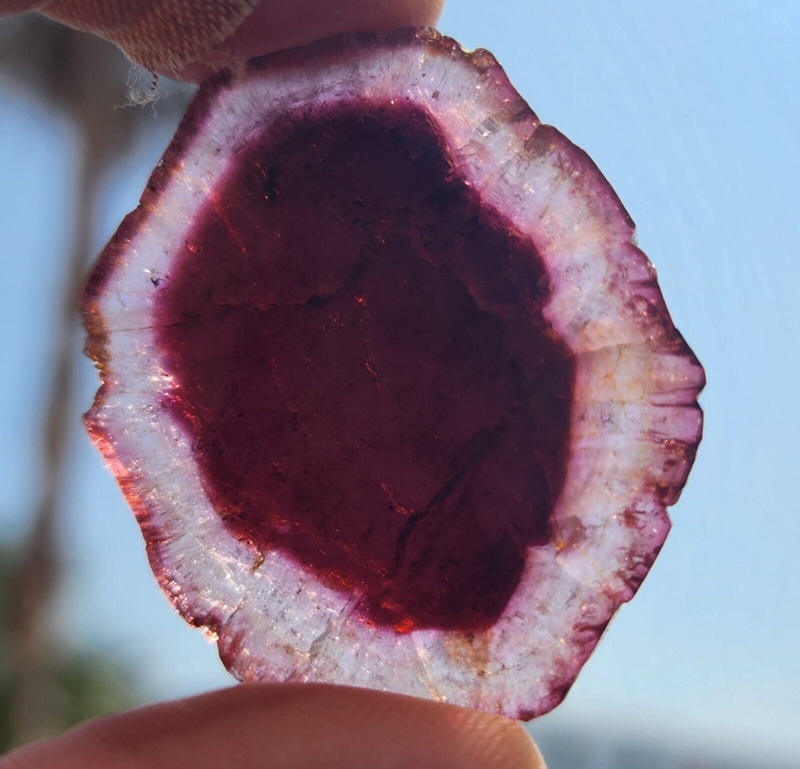 Cranberry Intense Red WATERMELON TOURMALINE Slice From Malkan Russia 16.3 Grs #2