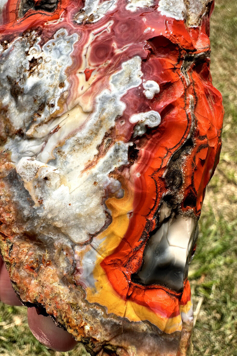 Large Natural Rare Kentucky Agate Rough from Estill County