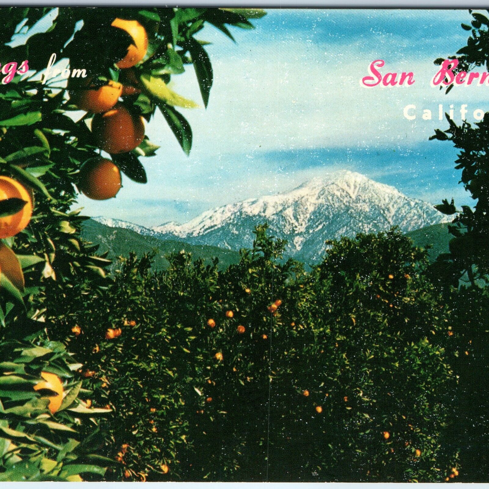 c1960s San Bernardino CA Greetings from PC Orange Ferris Scott Josef Muench A266