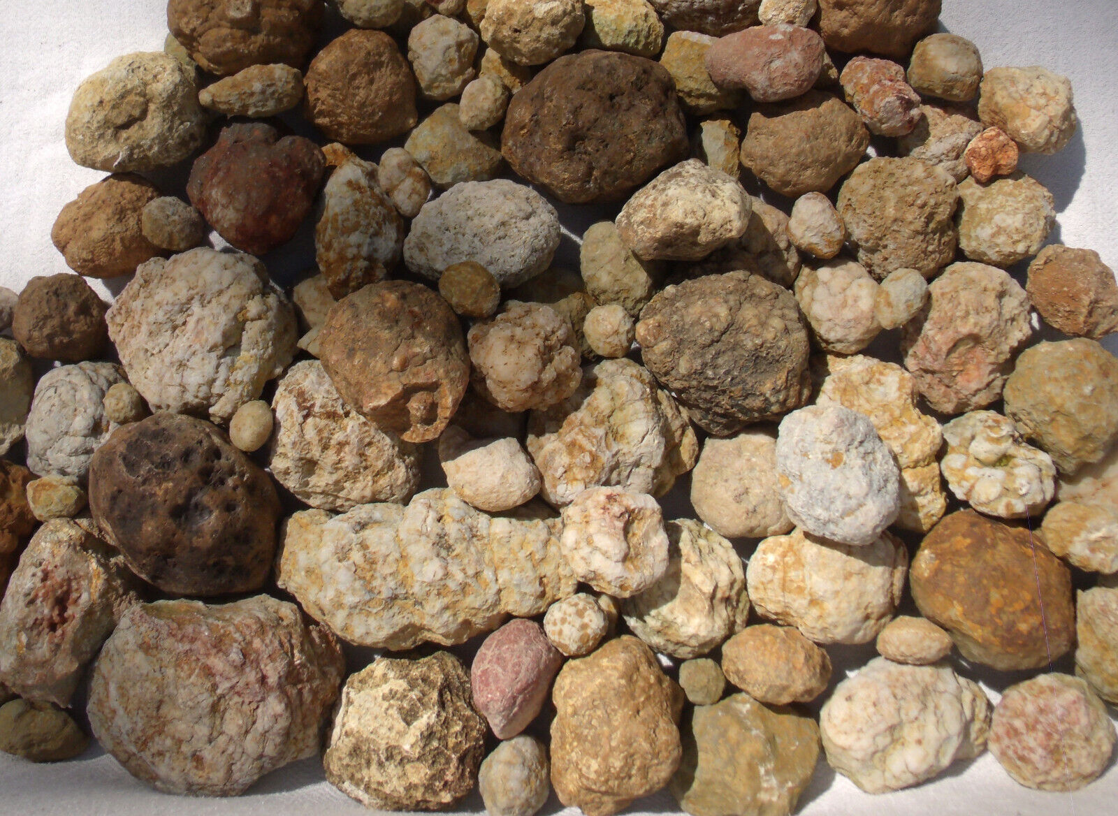 Break Your Own Geodes DIVERSE Bulk Lot 6 LBS Hollow Unopened Rattlers Natural 