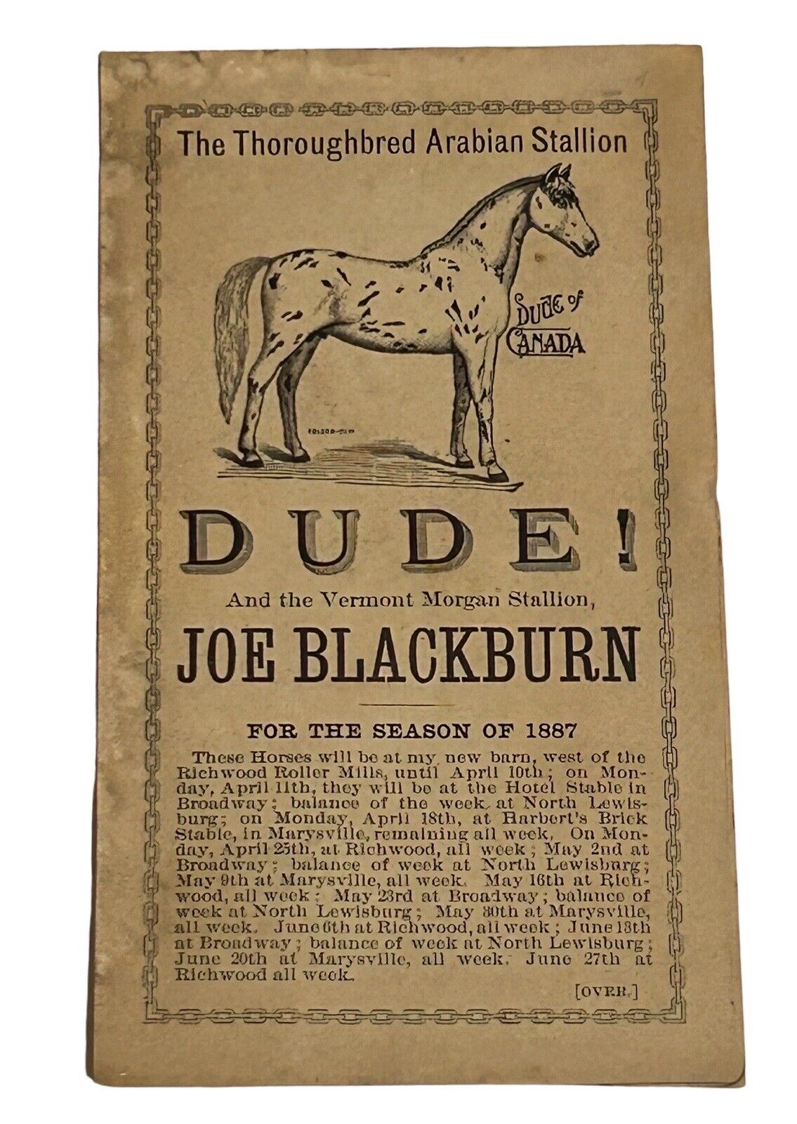 1887 Thoroughbred Arabian Stallion Dude Joe Blackburn Vermont Morgan P371